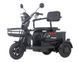 Електроскутер триколісний Maxxter ANT (Black) ANT (Black) фото 1
