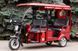 ГЕРКУЛЕС e-Riksha ART-956 фото 19